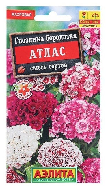 Агрофирма аэлита Семена цветов Гвоздика "Атлас", 0,3 г