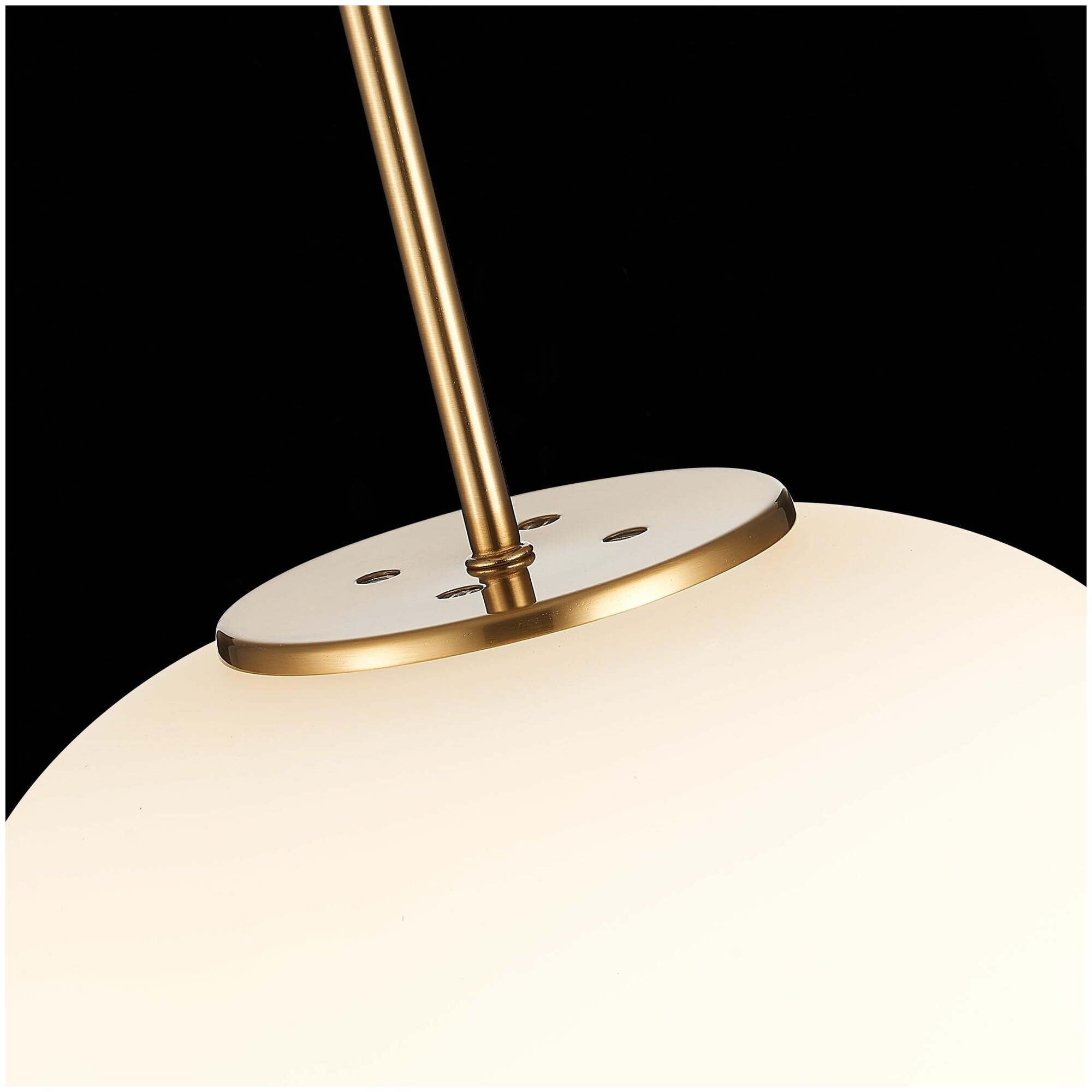 Подвесной светильник ST-Luce Lacus SL1621.213.01