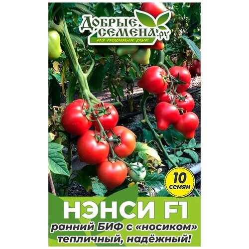 Семена томата Нэнси F1 - 10 шт - Добрые Семена. ру