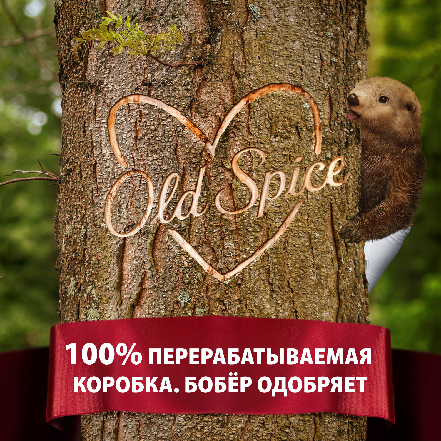 Подарочный набор для мужчин Old Spice Captain, Дезодорант-стик 50 мл + Гель для душа 3в1 250 мл - фото №6