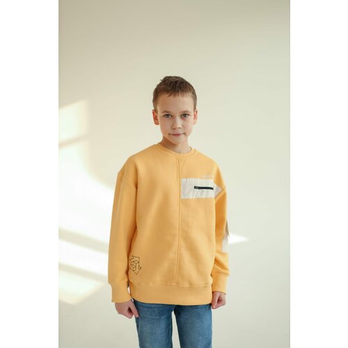 фото Толстовка с молнией на груди рост 116/5-6 лет jack lions