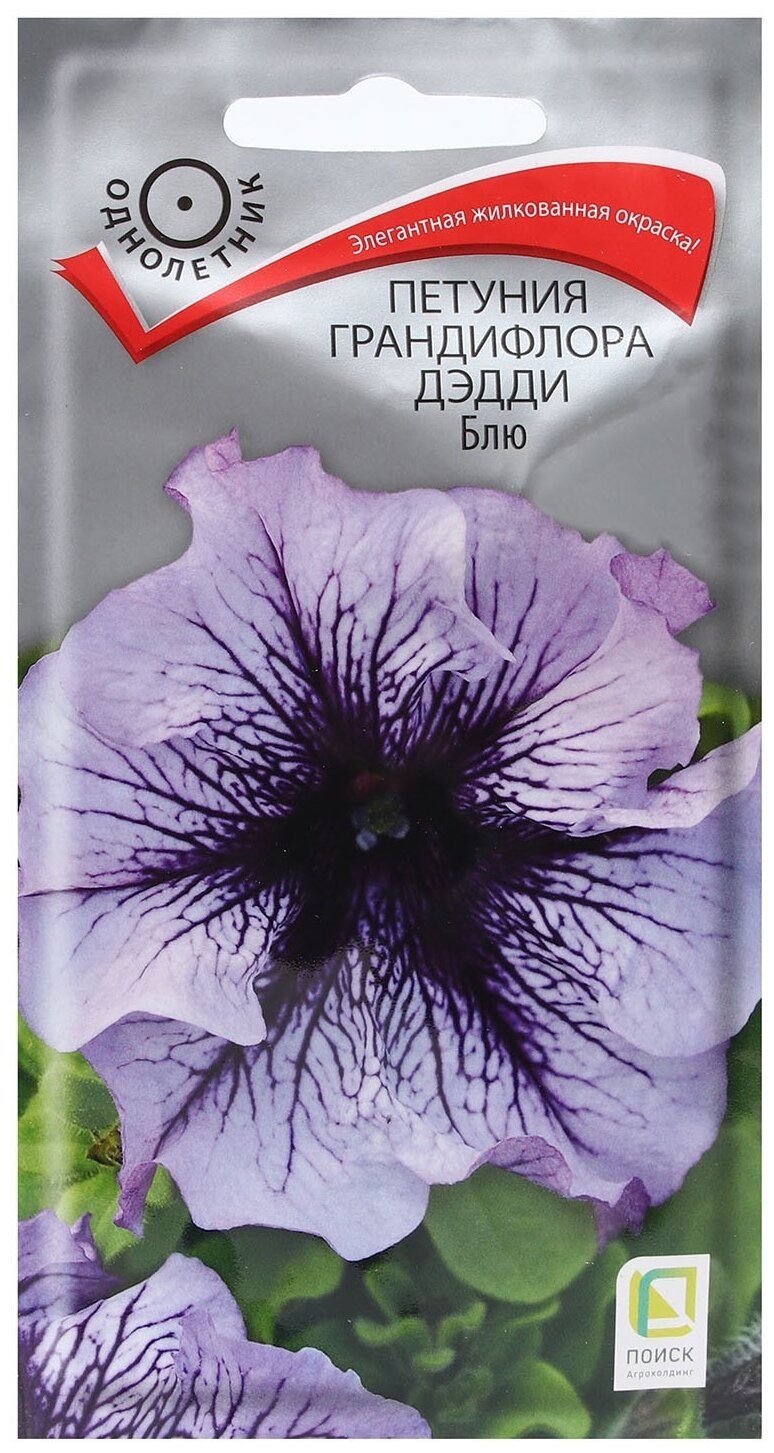 Петуния Дэдди микс
