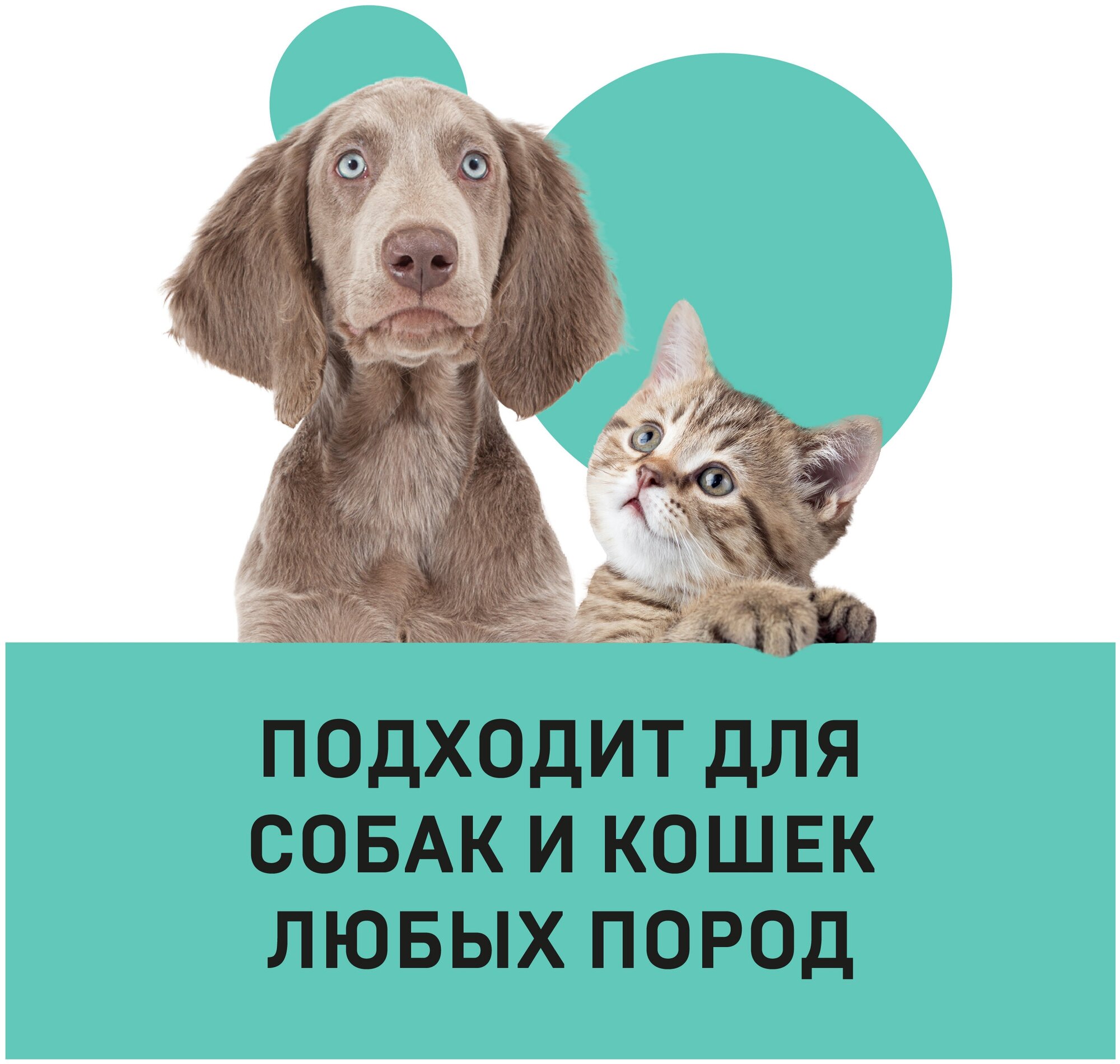 Универсальный шампунь с витамином Е для кошек и собак Wellroom 1 л - фотография № 3