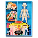 Игровой набор Melissa & Doug Человеческое тело 3589 - изображение