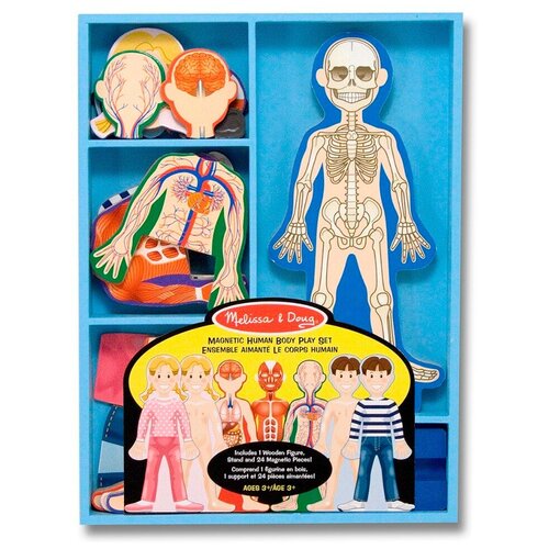 фото Игровой набор melissa & doug человеческое тело 3589