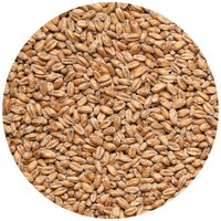 Пшеница для брожения, самогона, на корм скоту 5 кг