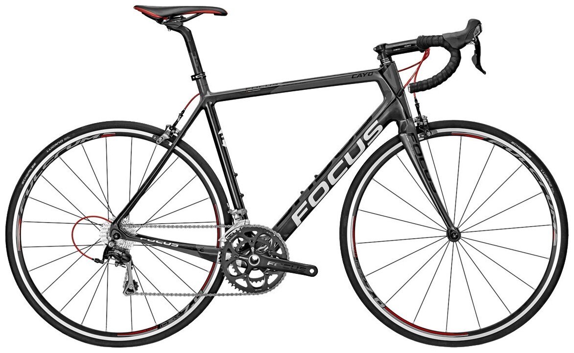 Focus cayo evo store 4.0 2014