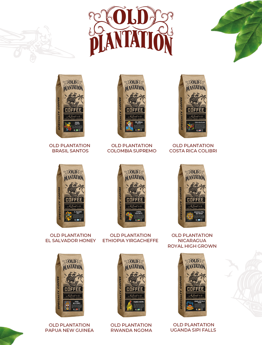 Кофе в зернах 250г Old Plantation – Specialty Coffee «Brasil Santos» - фотография № 3