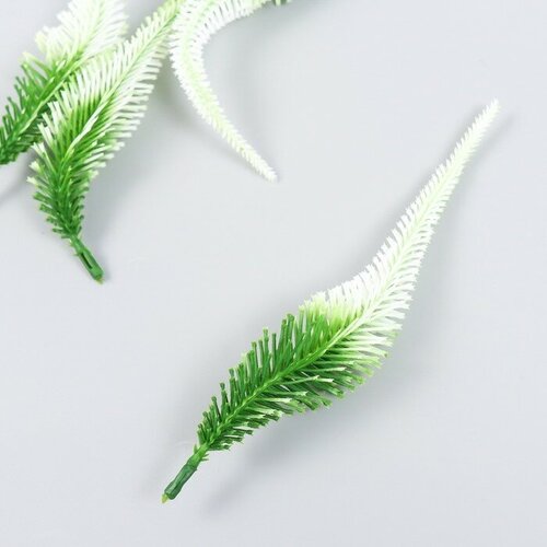 SUI Декор для творчества Листья тонкого папоротника градиент набор 4 шт 17 см 338₽