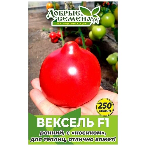 Семена томата Вексель F1 - 250 шт - Добрые Семена. ру семена томата суверен f1 250 шт добрые семена ру