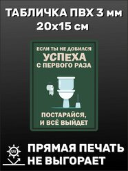 Табличка прикольная на дверь туалета с надписью Если ты не добился успеха с первого раза постарайся, и всё выйдет 20х15 см