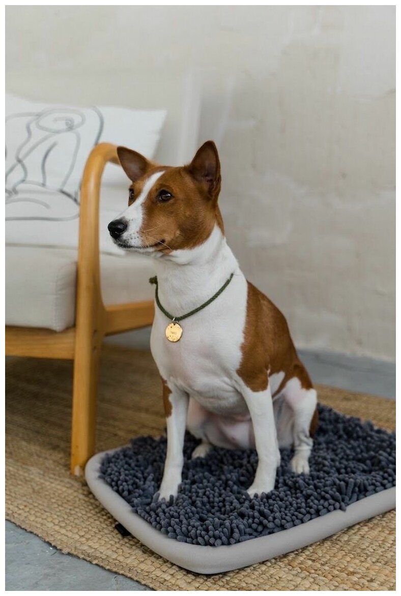 Развивающий нюхательный коврик для собак на присосках и с противоскользящим основанием - фотография № 1