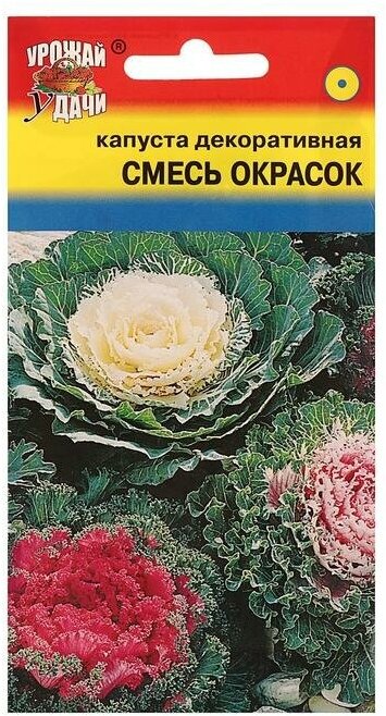 Семена цветов Капуста декоративная Смесь окрасок 02 г (4шт.)