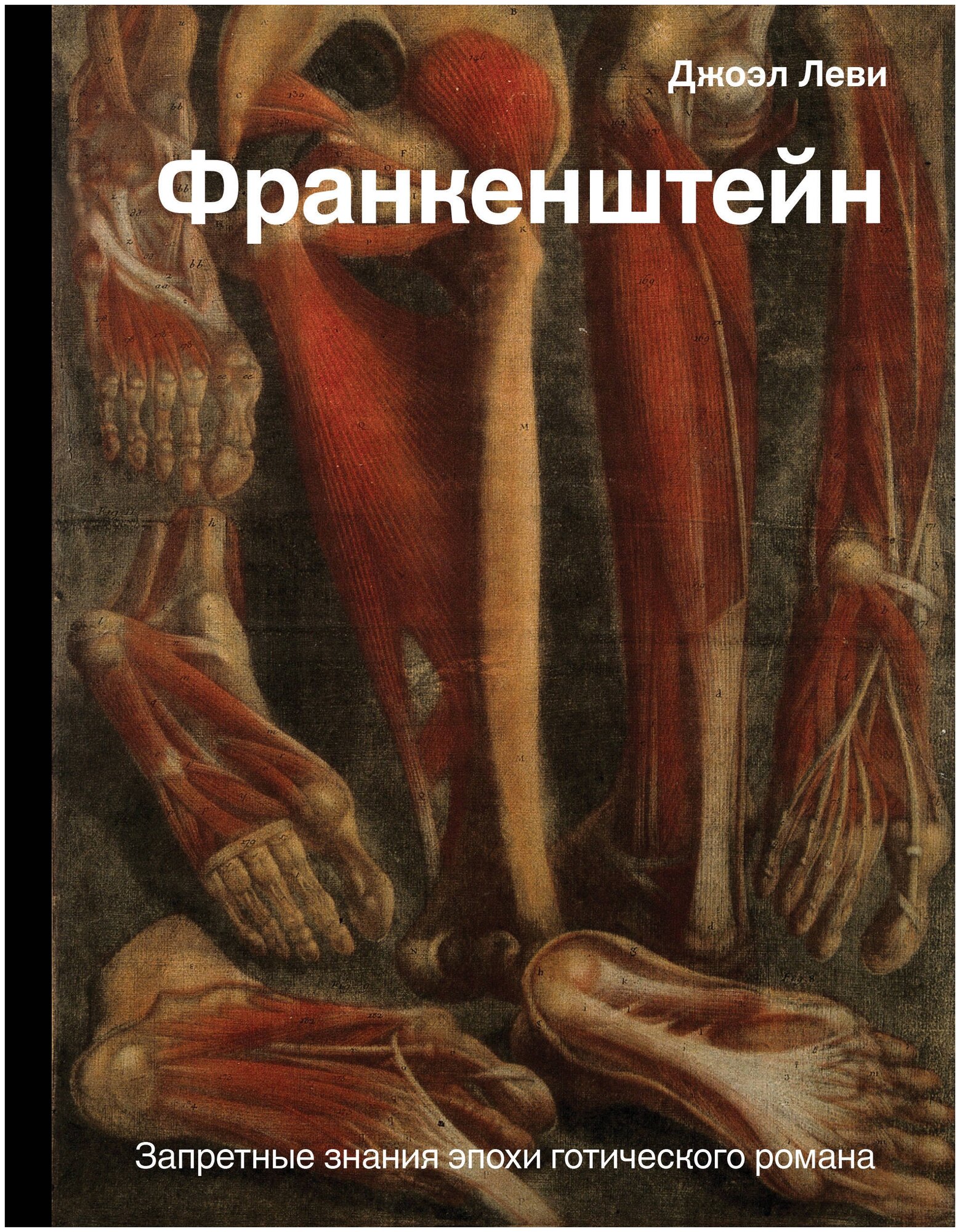 Франкенштейн. Запретные знания эпохи готического романа - фото №1