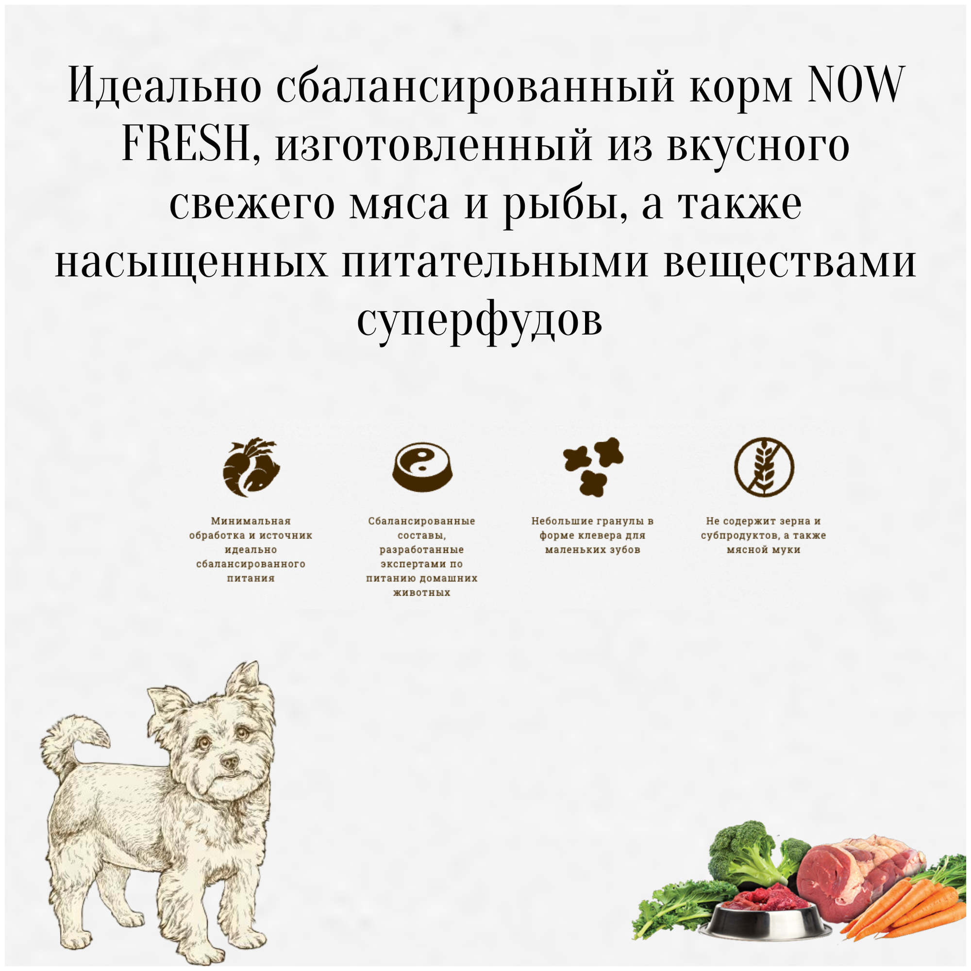 Сухой корм для собак NOW FRESH беззерновой, ягненок, свинина 1 уп. х 1 шт. х 5.44 кг (для мелких пород) - фотография № 9