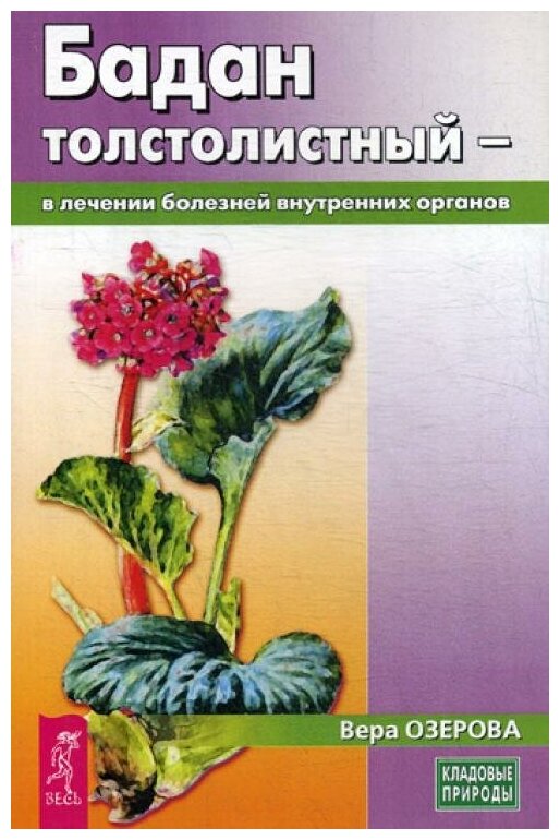 Бадан толстолистный - в лечении болезней внутренних органов (3594) - фото №1