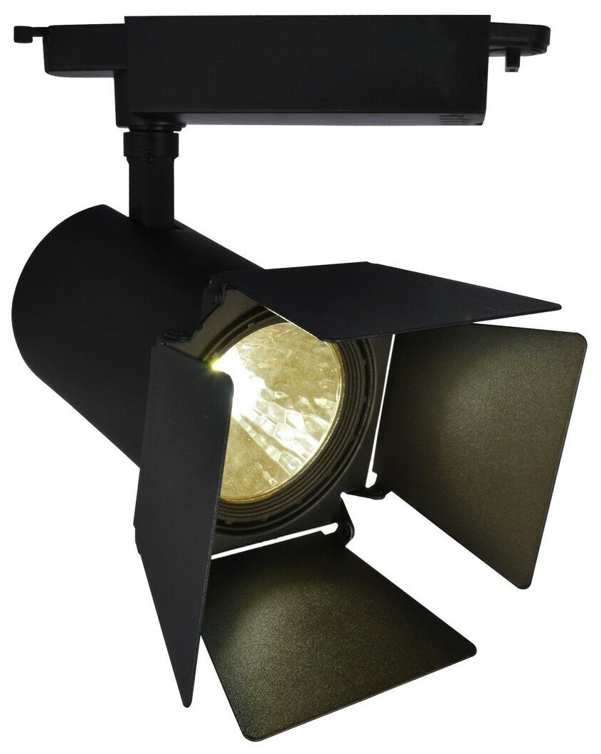   ARTE LAMP A6730PL-1BK