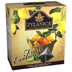 Чай черный Zylanica Fruit exotica с лимоном, лаймом и календулой в пирамидках - изображение