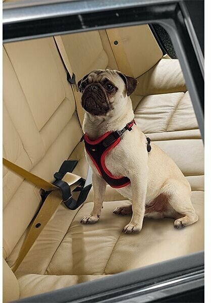 Ferplast ремень безопасности в автомобиль DOG SAFETY BELT (50 см) - фото №4