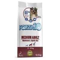 Сухой корм для собак Forza10 Maintenance, ягненок, с рисом 1 уп. х 1 шт. х 12.5 кг (для средних и крупных пород)