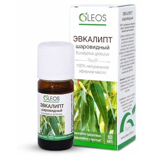 Масло эфирное Oleos (Олеос) Эвкалипт 10 мл масло эфирное oleos олеос эвкалипт 10 мл