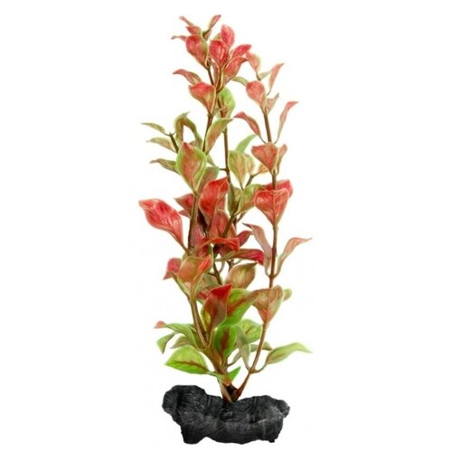 фото Искусственное растение tetra red ludwigia m красный/зеленый