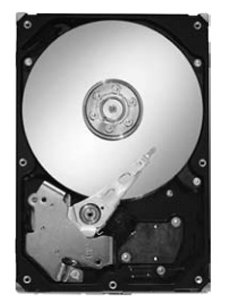 Для домашних ПК Seagate Жесткий диск Seagate ST3250310CS 250Gb SATAII 3,5