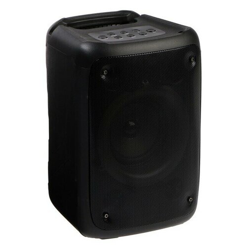 Портативная колонка DISCO RING 4 10 Вт BT 50 AUX FM MP3 microSD USB черная 458000₽