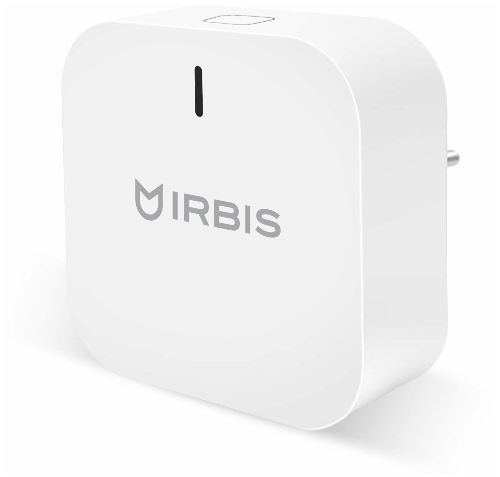 Блок управления (шлюз) Irbis Hub 1.0 (IRHH10)