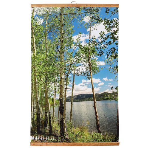 Пленочный инфракрасный обогреватель - картина Березовая роща 500Вт 136400₽