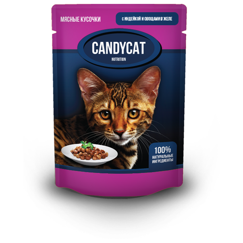 Влажный корм для кошек CandyCat с индейкой, с овощами 48 шт. х 85 г (кусочки в желе)