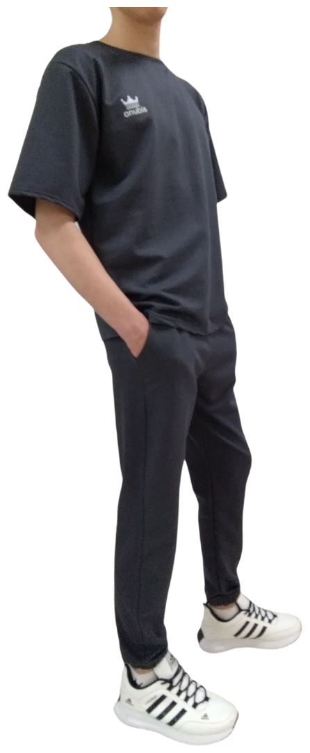 Спортивный костюм мужской Anubis fitness р-р 48 (L) цвет серый(брюки-футболка)