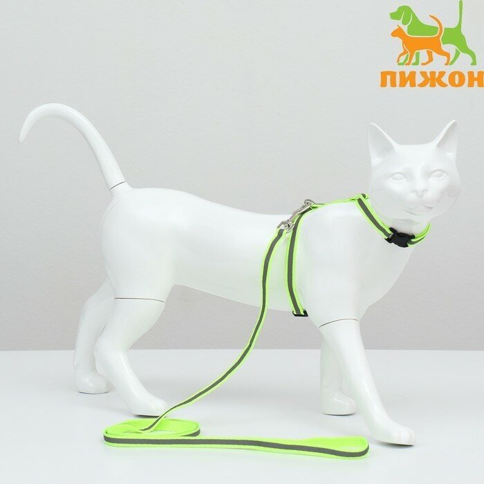 Комплект для кошек светоотражающий,ширина 1 см,шлейка 21-35 см,поводок 120 см, зелёный (1шт.) - фотография № 1