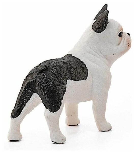 Фигурка Schleich Французский бульдог 5 см - фото №3