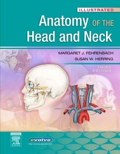 Illustrated Anatomy of the Head and Neck / Margaret Fehrenbach 2006 г - фото №1