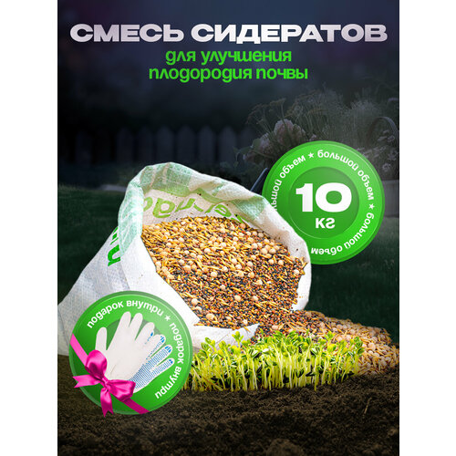Смесь сидератов для улучшения плодородия почвы 10 кг Семена