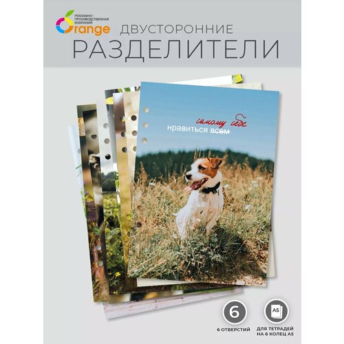 Разделители для тетради на 6 кольцах А5 Собачки 390₽