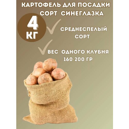 Картофель семенной Синеглазка 4 кг 900₽