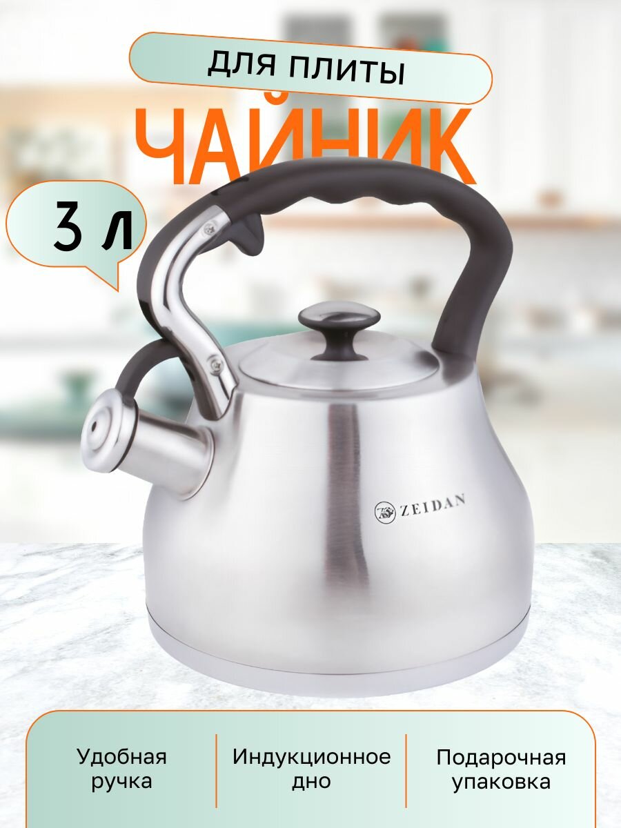 Чайник со свиском, нержавеющая сталь, объём 3,0 литра