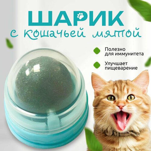 Кошачья мята, шарик с кошачьей мятой на стену, лакомство для кошки