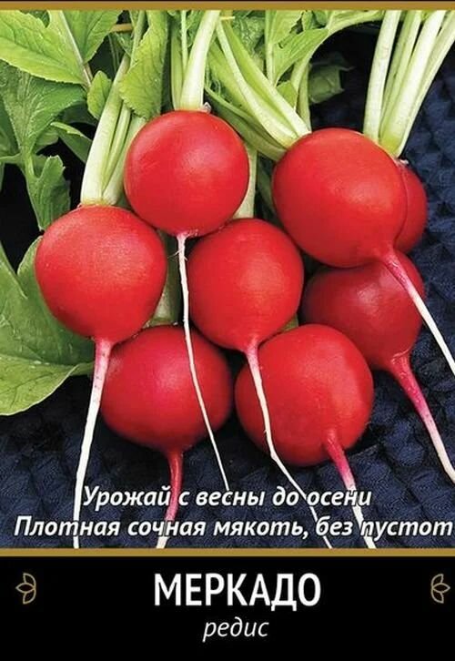 Коллекционные семена редиса Меркадо