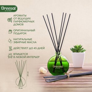 Ароматизатор для дома, Диффузор ароматический с палочками Breesal Arome Sticks Пробуждение чувственности 70 мл, Набор 2 шт.