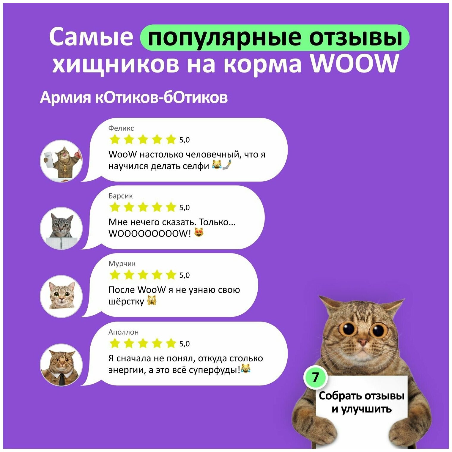 Корм для кошек WOOW филе в желе цыплёнок с тунцом 100гр (12 банок) - фотография № 5