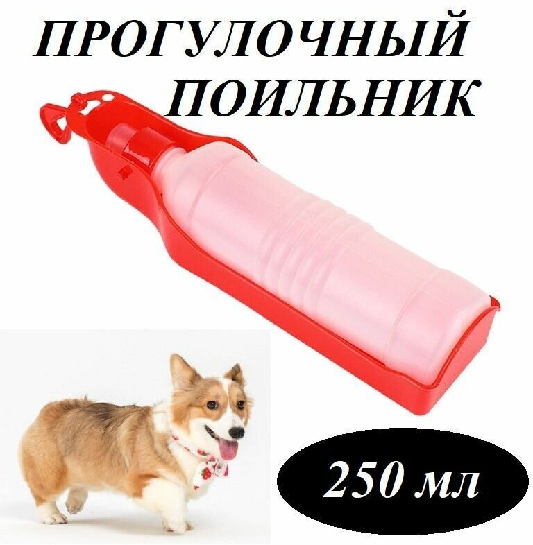 Прогулочная поилка красная 250мл для собак и кошек, дорожный поильник для животных - фотография № 1