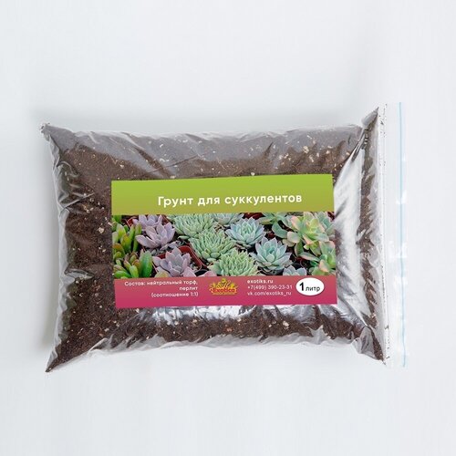 Грунт для суккулентов и кактусов