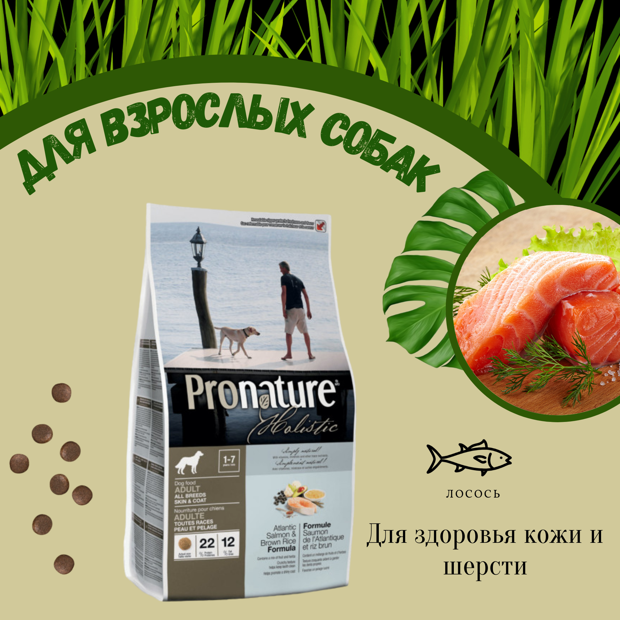 Pronature Holistic сухой корм для взрослых собак для здоровья кожи и шерсти собак с лососем и рисом
