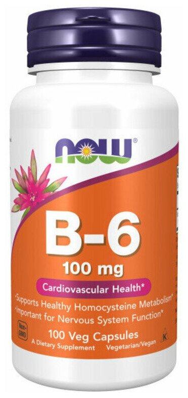 Now Foods Now Vitamin B-6 100 mg 100 vcaps