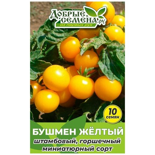 Семена томата Бушмен Жёлтый - 10 шт - Добрые Семена. ру семена томата бушмен 50 шт добрые семена ру