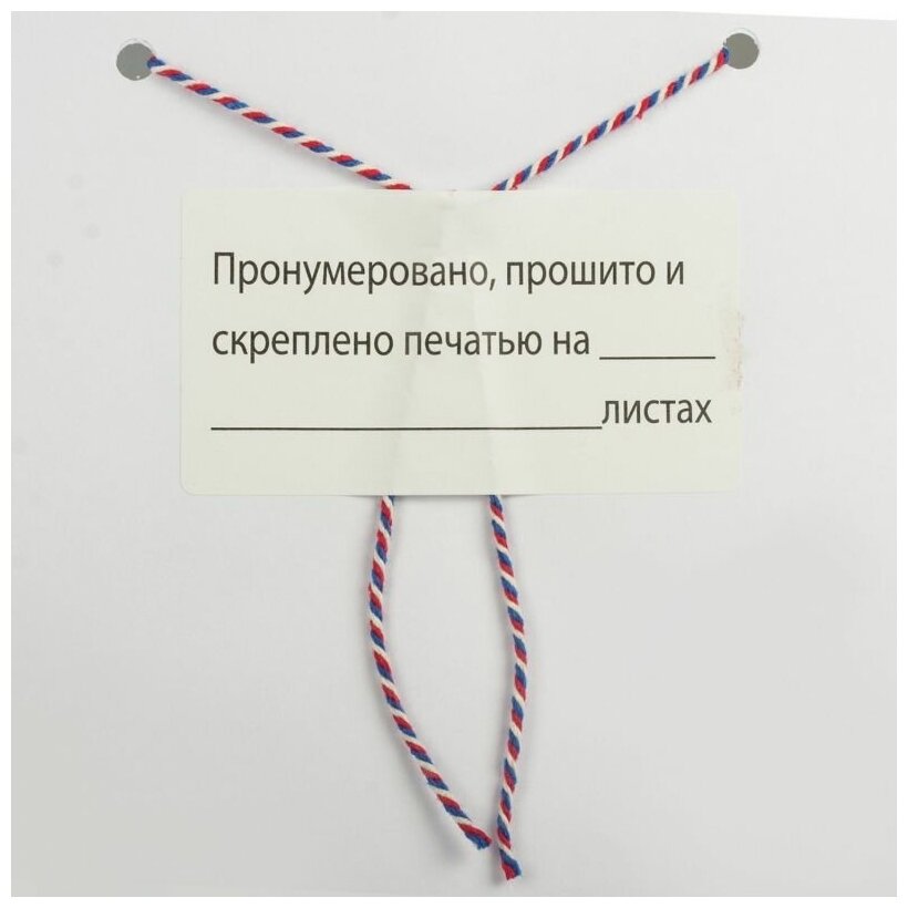 Этикетка самоклеящаяся Staff "Пронумеровано, прошито и скреплено", 70х37 мм, 24 этикетки, 10 листов, 128833