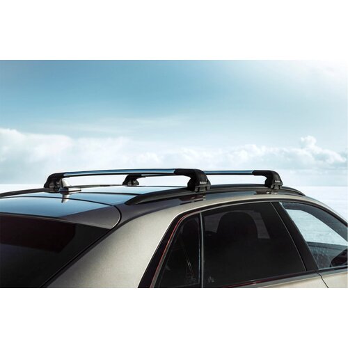 Багажник на крышу Rollster Mercury для Hyundai Solaris (2011-2017г. в.), Mazda 3 (2009-2013г. в), Mazda 6 (2007-2013г. в.), серебристые дуги